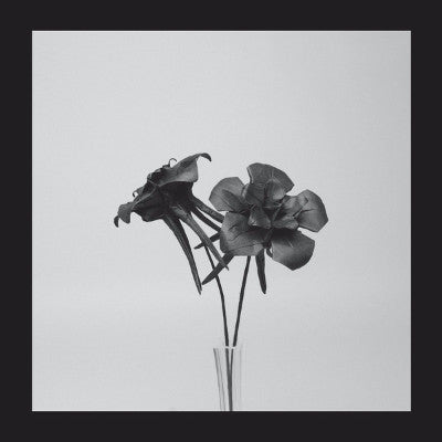 Dark Lotus (New 12")