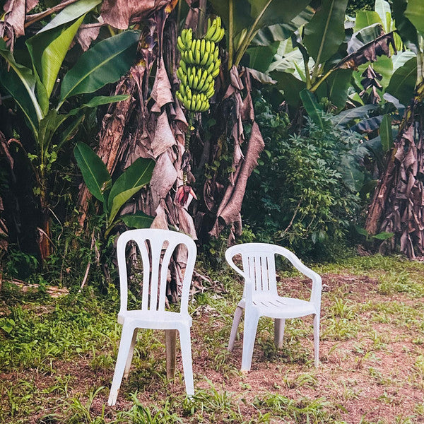 Debí Tirar Más Fotos (New 2LP)