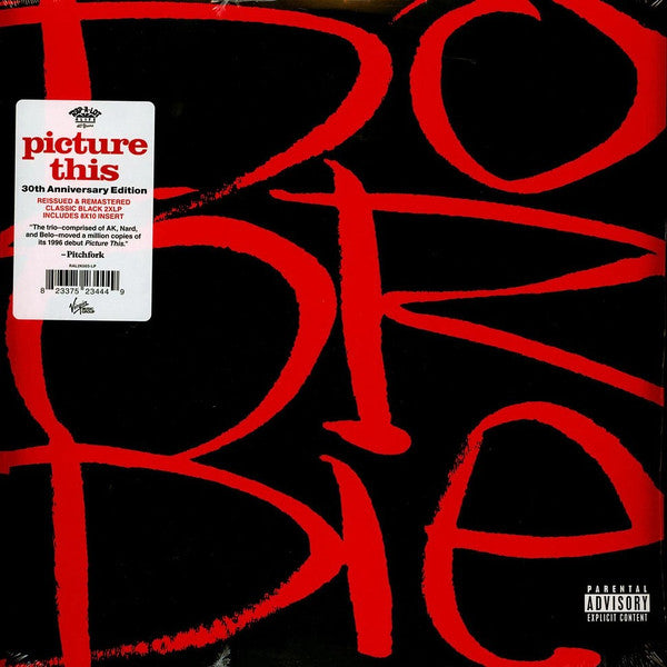 Picture This (New 2LP)