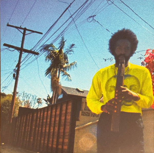 Moving Day (New LP)