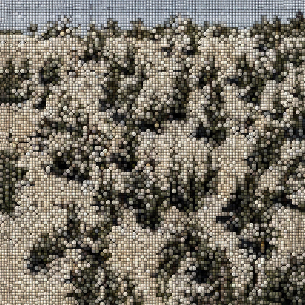 Extra Stars (New LP)