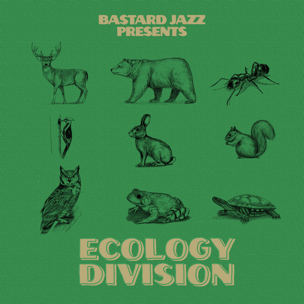 Ecology Division (New LP)