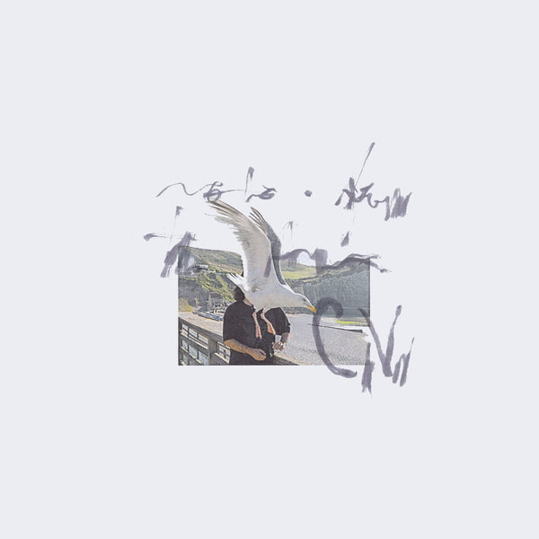 notes from the air (New LP)