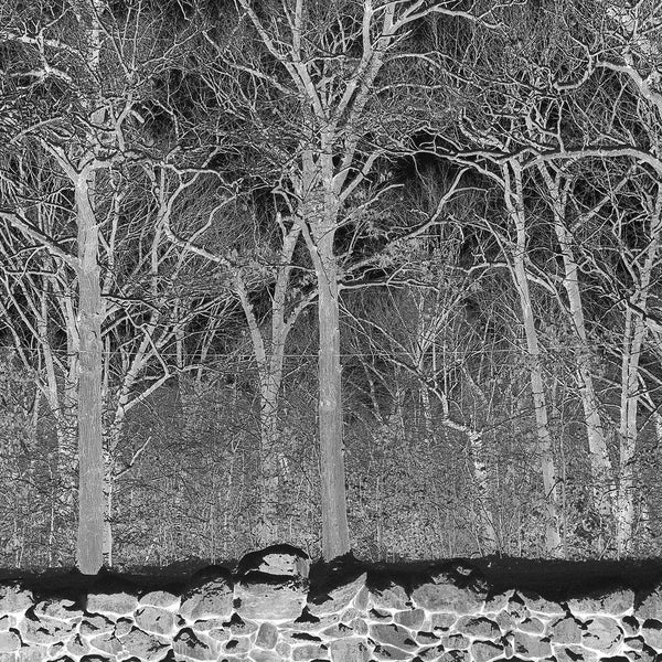 Sunshine and Balance Beams (New LP)