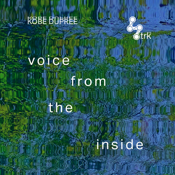 Voice from the Inside (New 2LP)