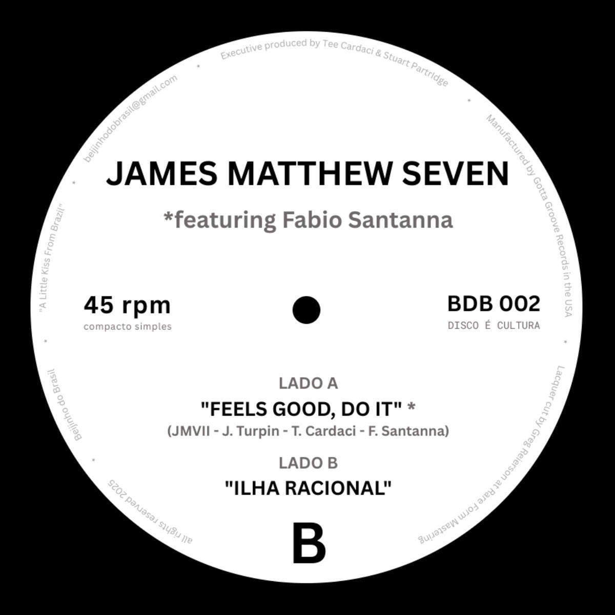 Feels Good Do It b/w Ilha Racional (New 7")