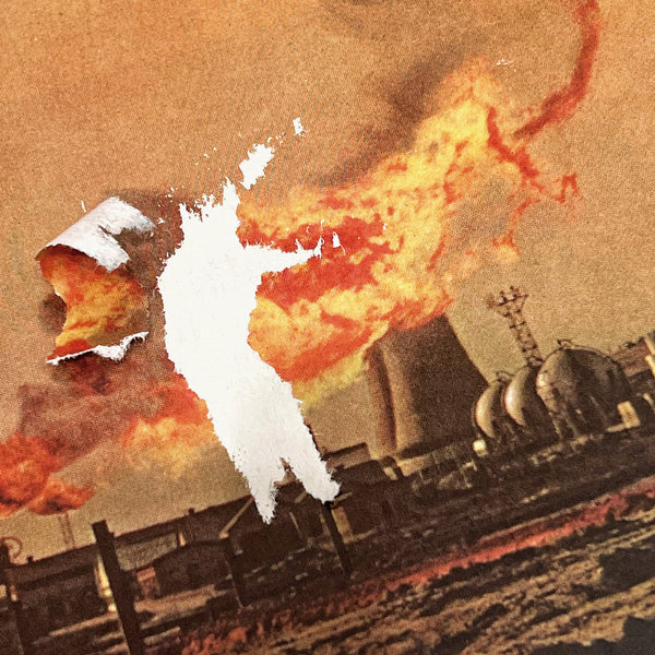 Sasquatch Landslide (New LP)