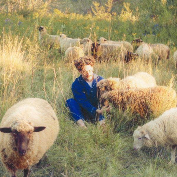 Themes for Dreams (New LP)