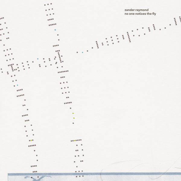 no one notices the fly (New LP)