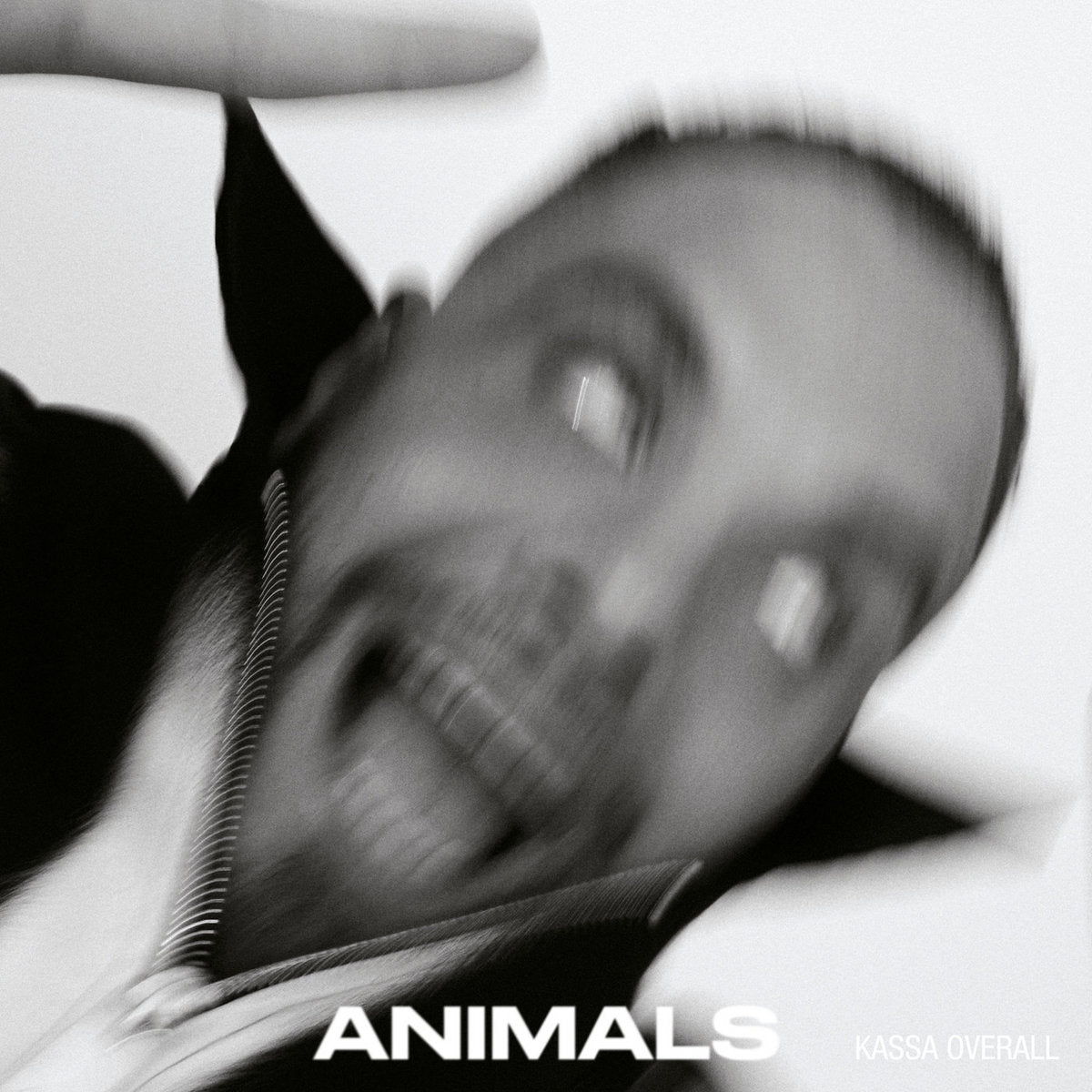 ANIMALS (New LP)