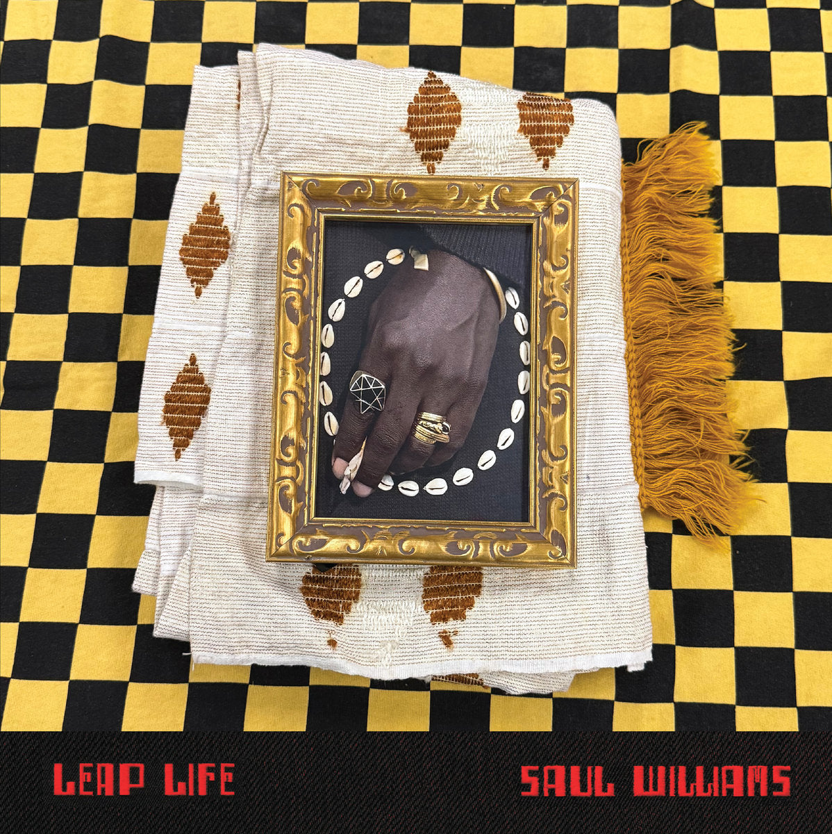 Leap Life (New 2LP) *PREORDER*