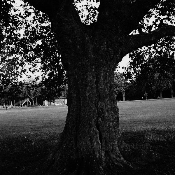 A New Place 2 Drown (Instrumentals) (New LP)