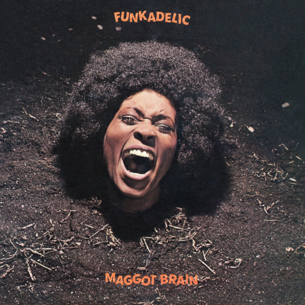 Maggot Brain (New LP)