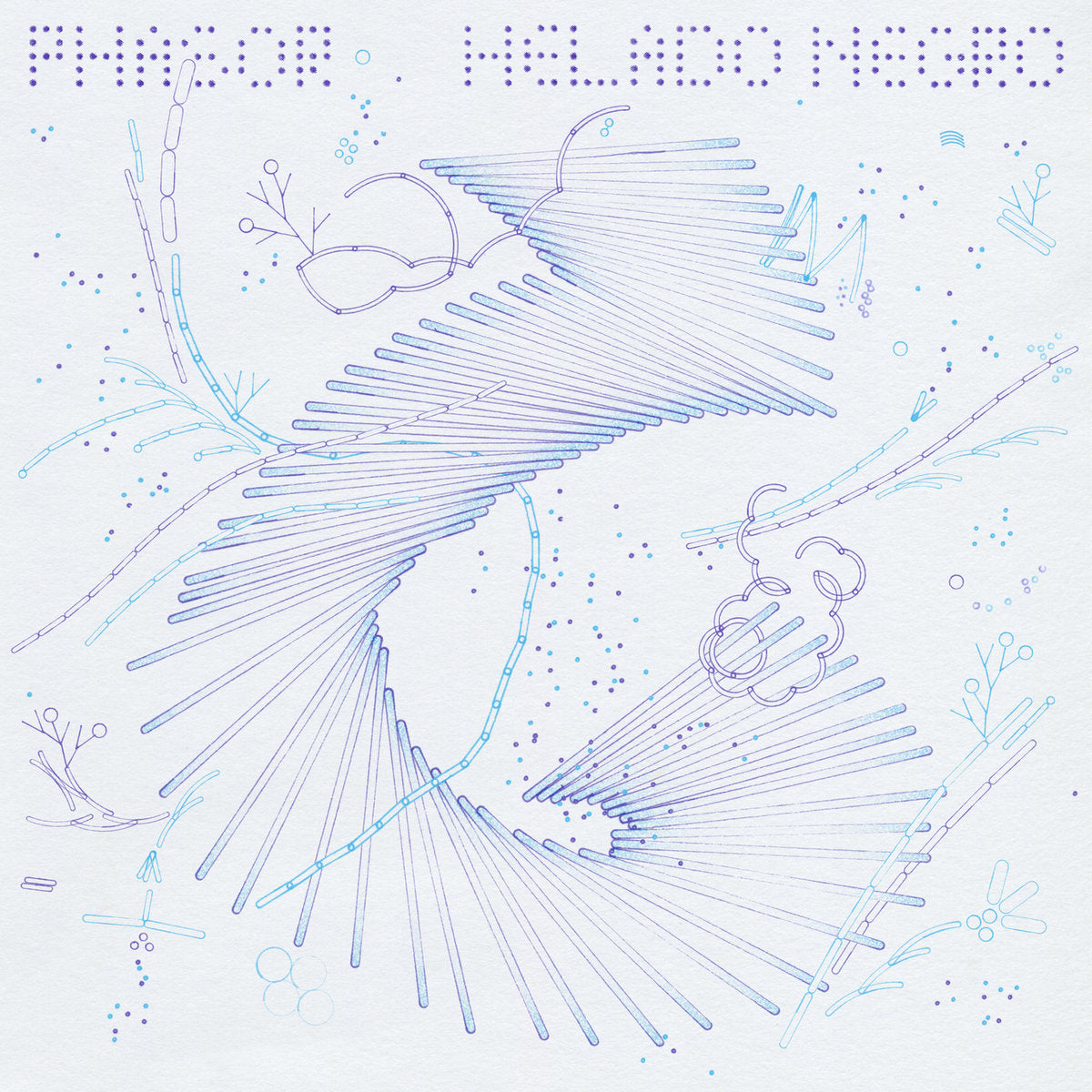 Phasor (New LP)