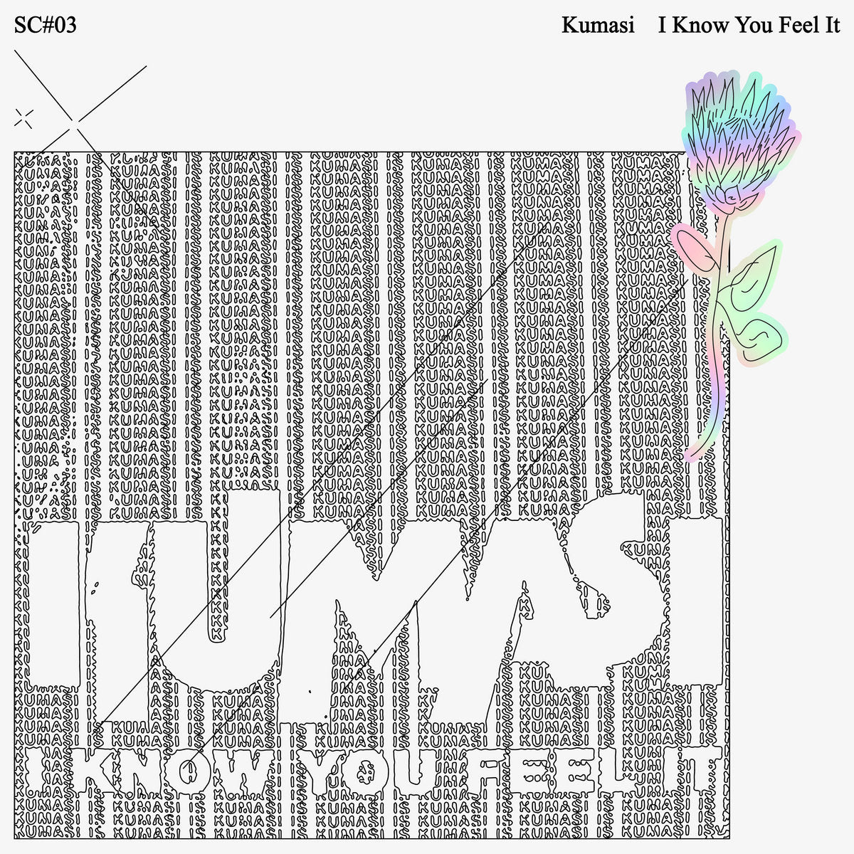 I Know You Feel It (New 2 x 12")
