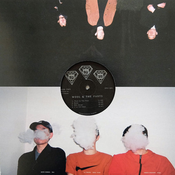 Wool In The Pool (New LP)
