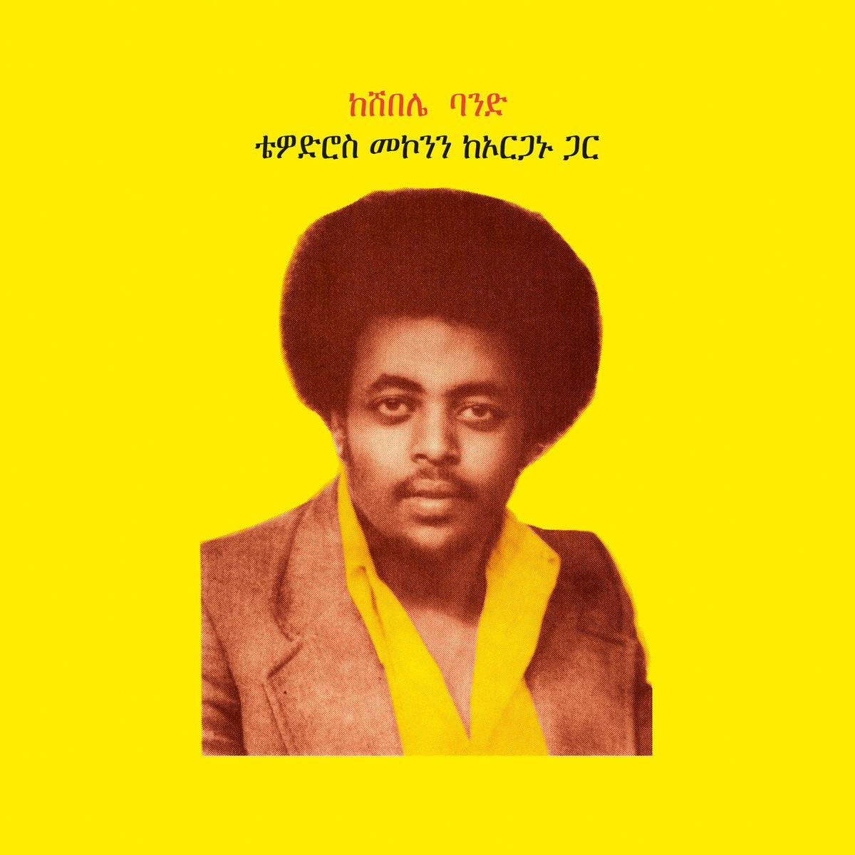 Teodros Makonnen With His Organ (ቴዎድሮስ መኮንን ከኦርጋኑ ጋር) (New 2LP)