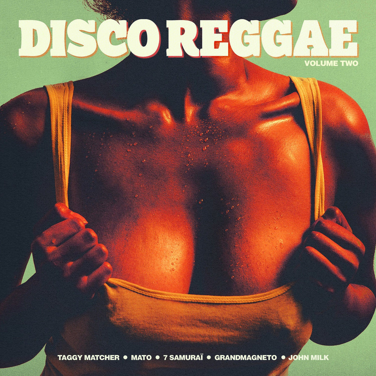 Disco Reggae Vol.2 (New LP)