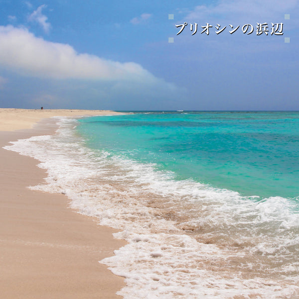 Beach of the Pliocene (New 2LP)