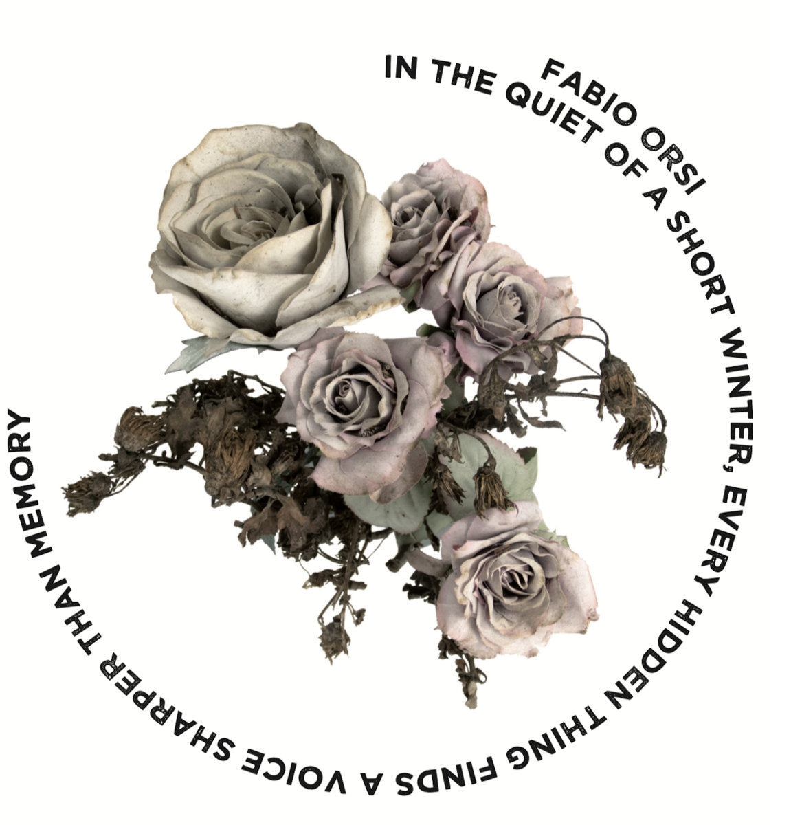 In The Quiet Of A Short Winter, Every Hidden Thing Finds A Voice Sharper Than Memory (New LP)