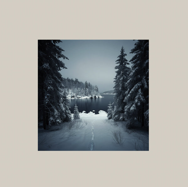 Northern Michigan Snowstorms (New 2LP)