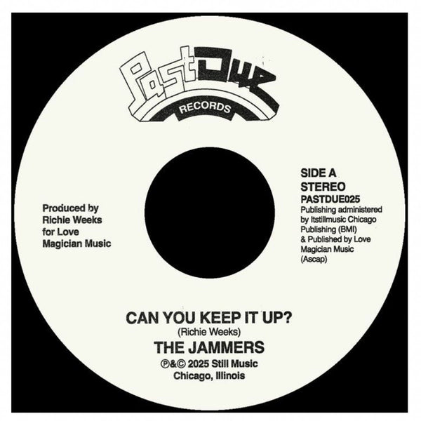 Can You Keep It Up? (New 12")