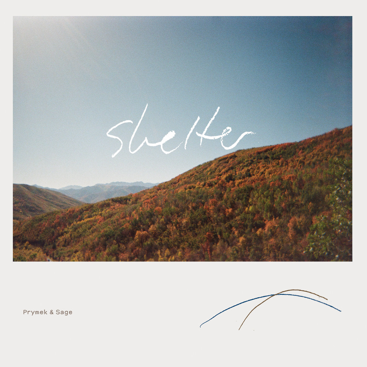 Shelter (New LP)
