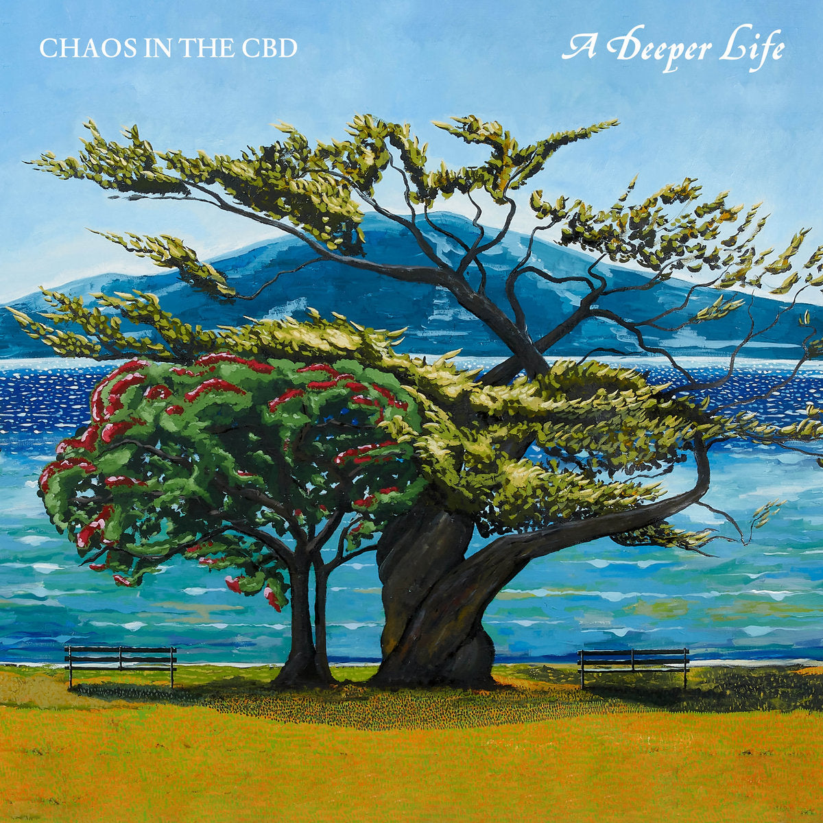 A Deeper Life (New 2LP)