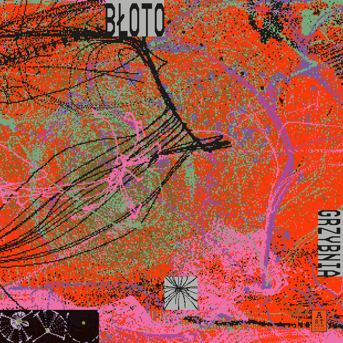 Grzybnia (New LP)