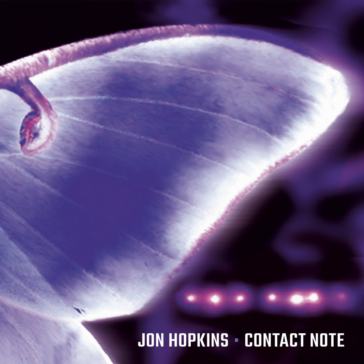 Contact Note (New 2LP)