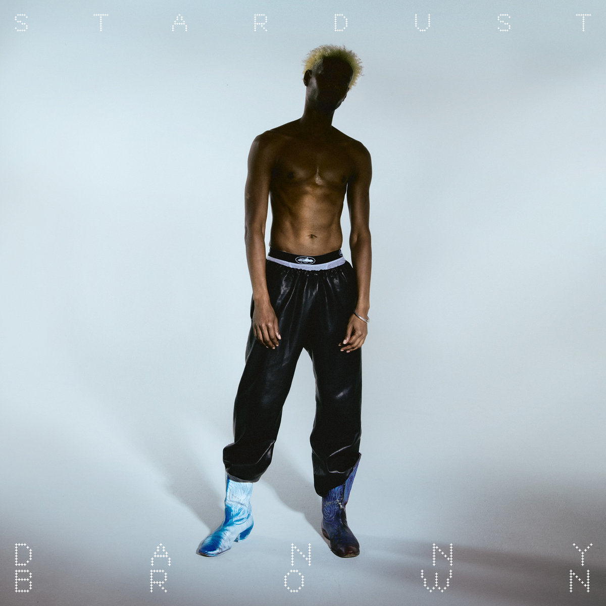 Stardust (New 2LP) *PREORDER*
