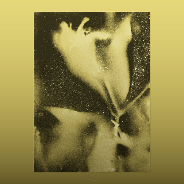1983 (New LP)