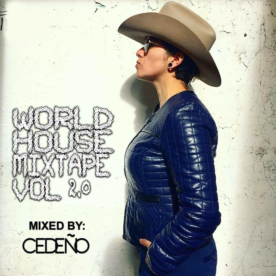 World House Mixtape Vol. 2 (New CD)