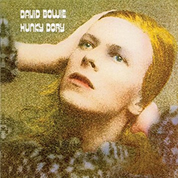 Hunky Dory (New LP)
