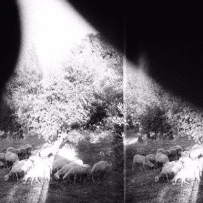 Asunder, Sweet And Other Distress (New LP + Download)