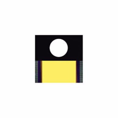 Music Without Discipline (New LP)