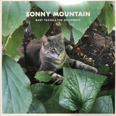Bart Travels The Spaceways (New LP)