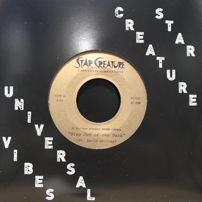 Step Out Of The Dark / All Night Long (New 7")