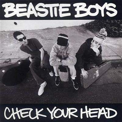 Check Your Head (New 2LP)