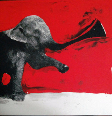 Elephant Rmx (New 12")