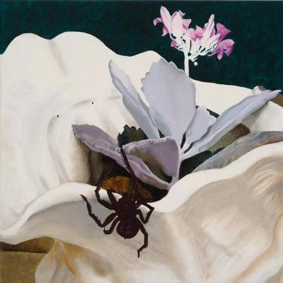 Awkwardly Blissing Out (New LP)