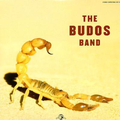 The Budos Band II (New LP)