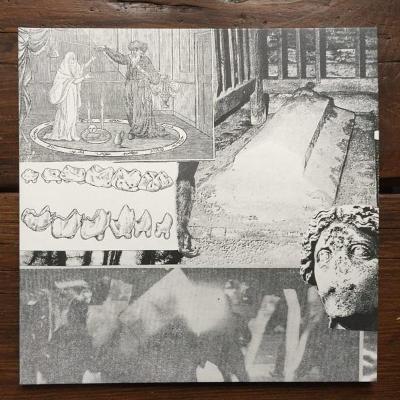 Young Echo (New 2LP)