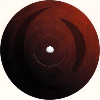 The Doomed Disillusioned (New 10")