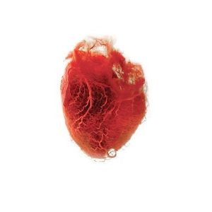 Love is Simple (New 2LP)