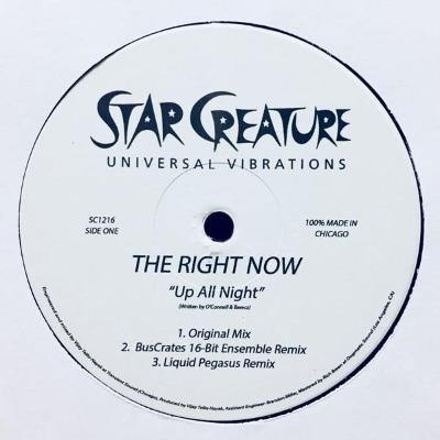 Up All Night b/w If It Was You (New 12")