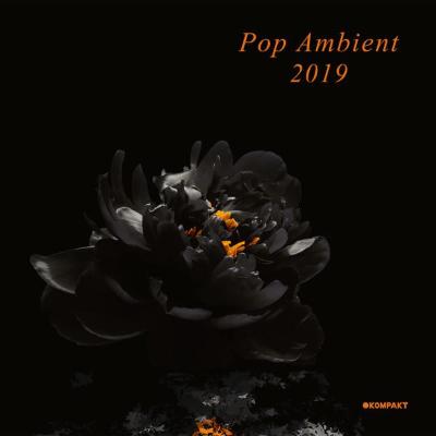 Pop Ambient 2019 (New 2LP)