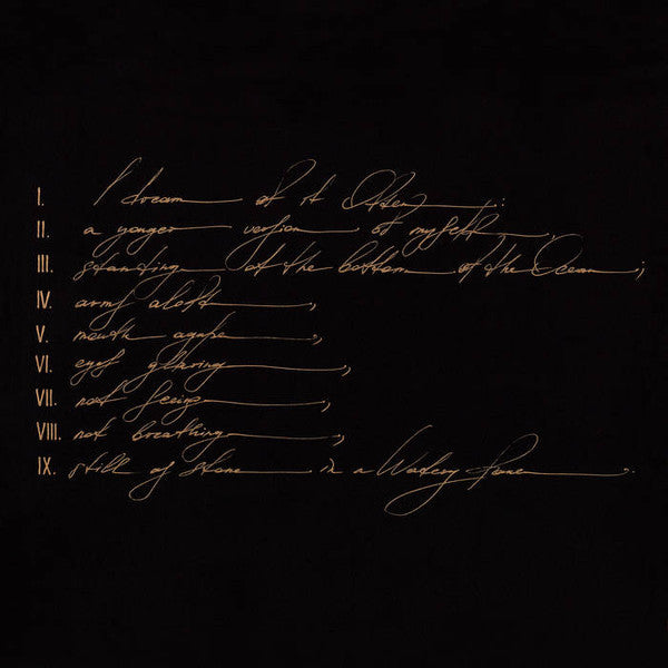 Dreams Are Not Enough (New 2LP)