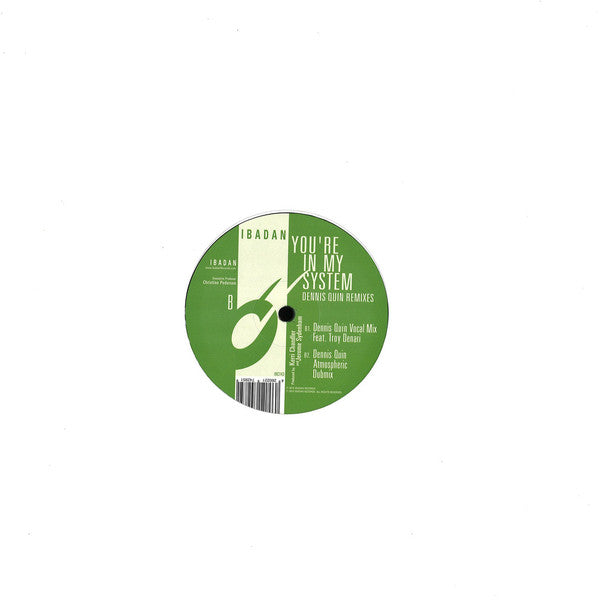 You're In My System (Dennis Quin Remixes) (New 12")