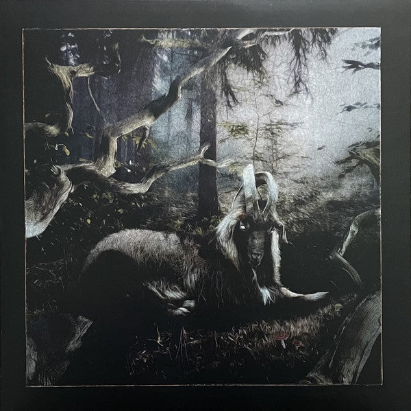 Feet Of Clay (New LP)